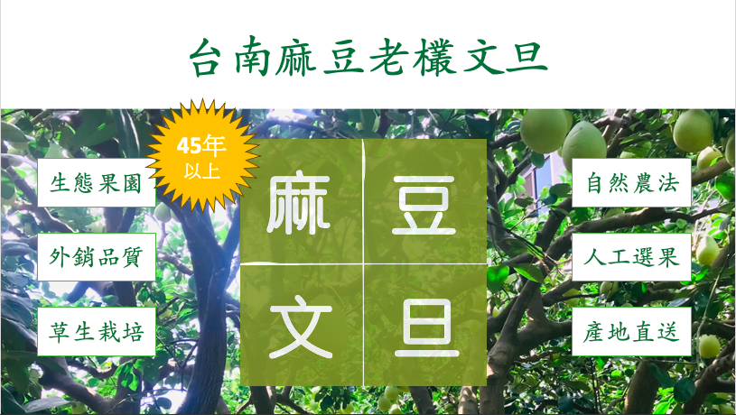 台南老欉文旦柚子